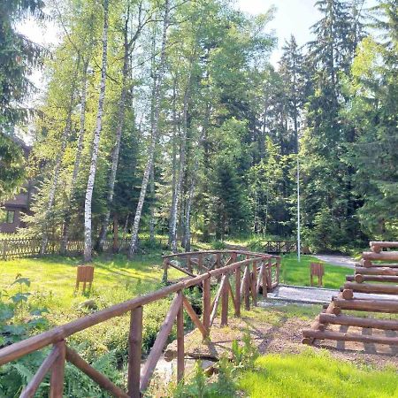 Klepalski - Mountain Studio بوروفتس المظهر الخارجي الصورة