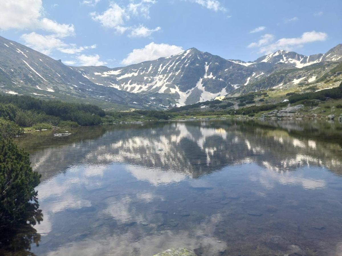 Klepalski - Mountain Studio بوروفتس المظهر الخارجي الصورة